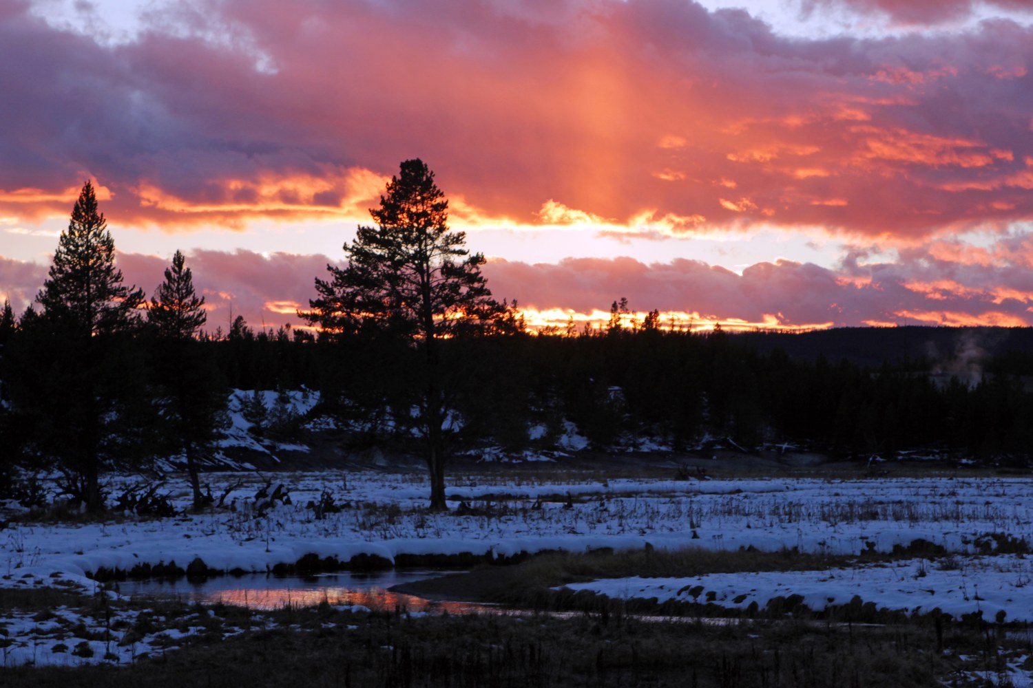 Sunset colour over the trees and steam near Norris.